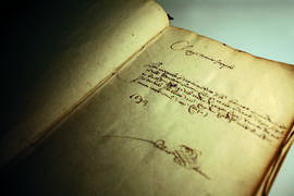 Libro in quale si descrivono tutti li Signori laureati in Medicina et delle admissioni luoro in c...